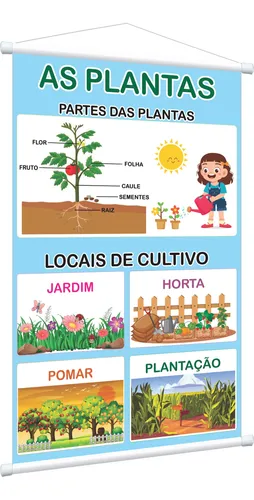 Banner Plantas